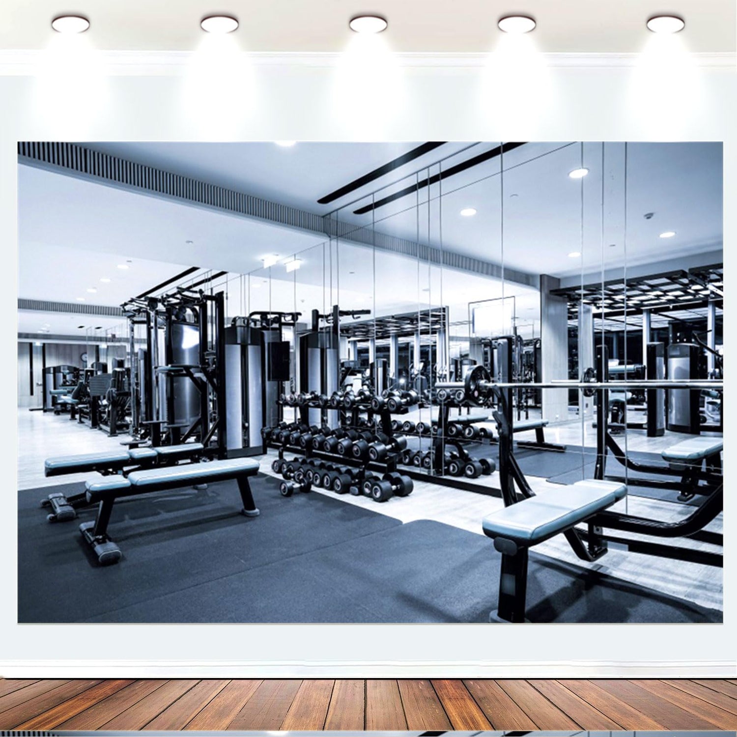 Fitness Equipment